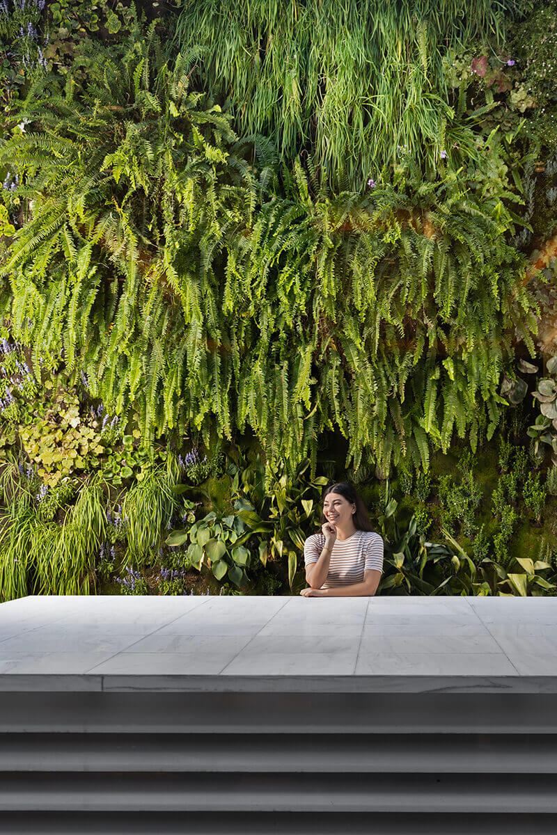 Κατακόρυφος κήπος