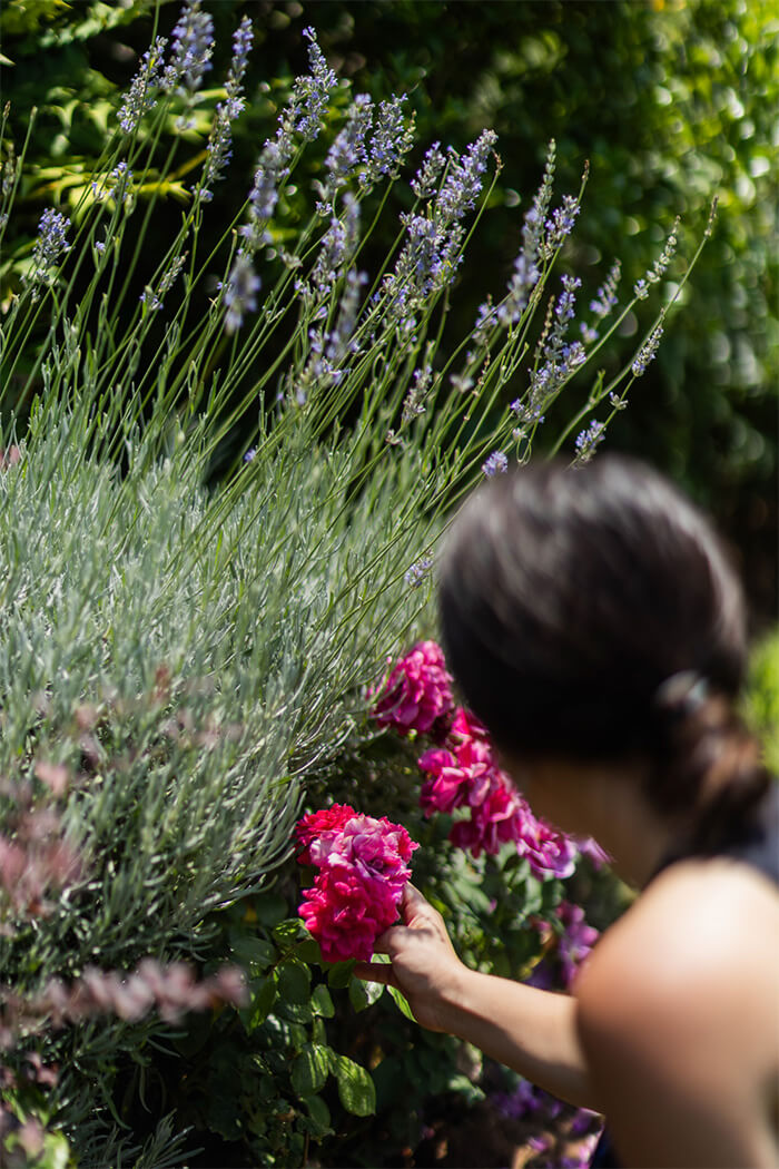 Περιαστικός κήπος τεσσάρων εποχών στη Θεσσαλονίκη