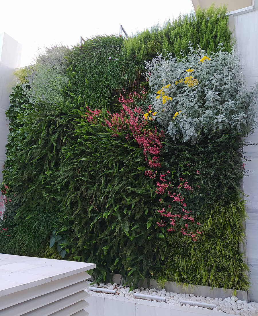 Κατακόρυφος κήπος